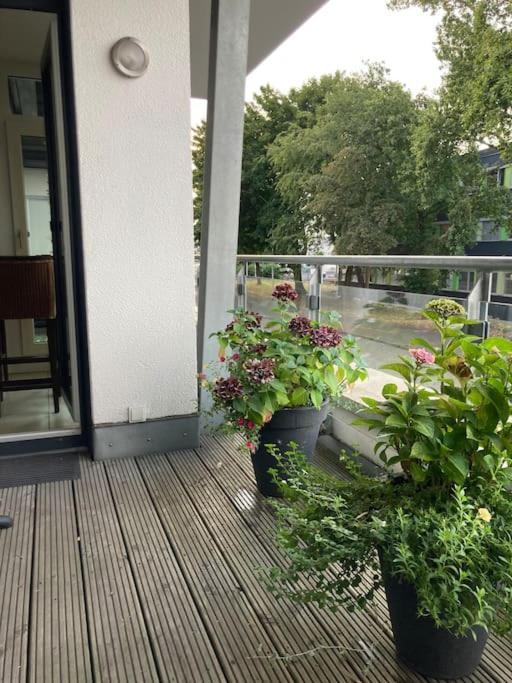 Ferienwohnung In Der Naehe Von Koeln Frechen Exterior foto